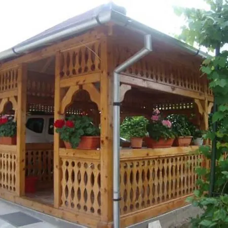Casa Mia 3* Haţeg
